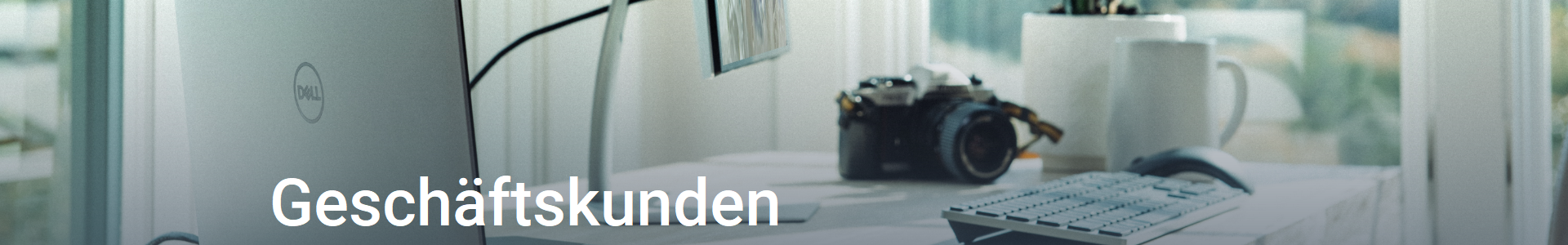 geschaeftskunden bei  Lizensio